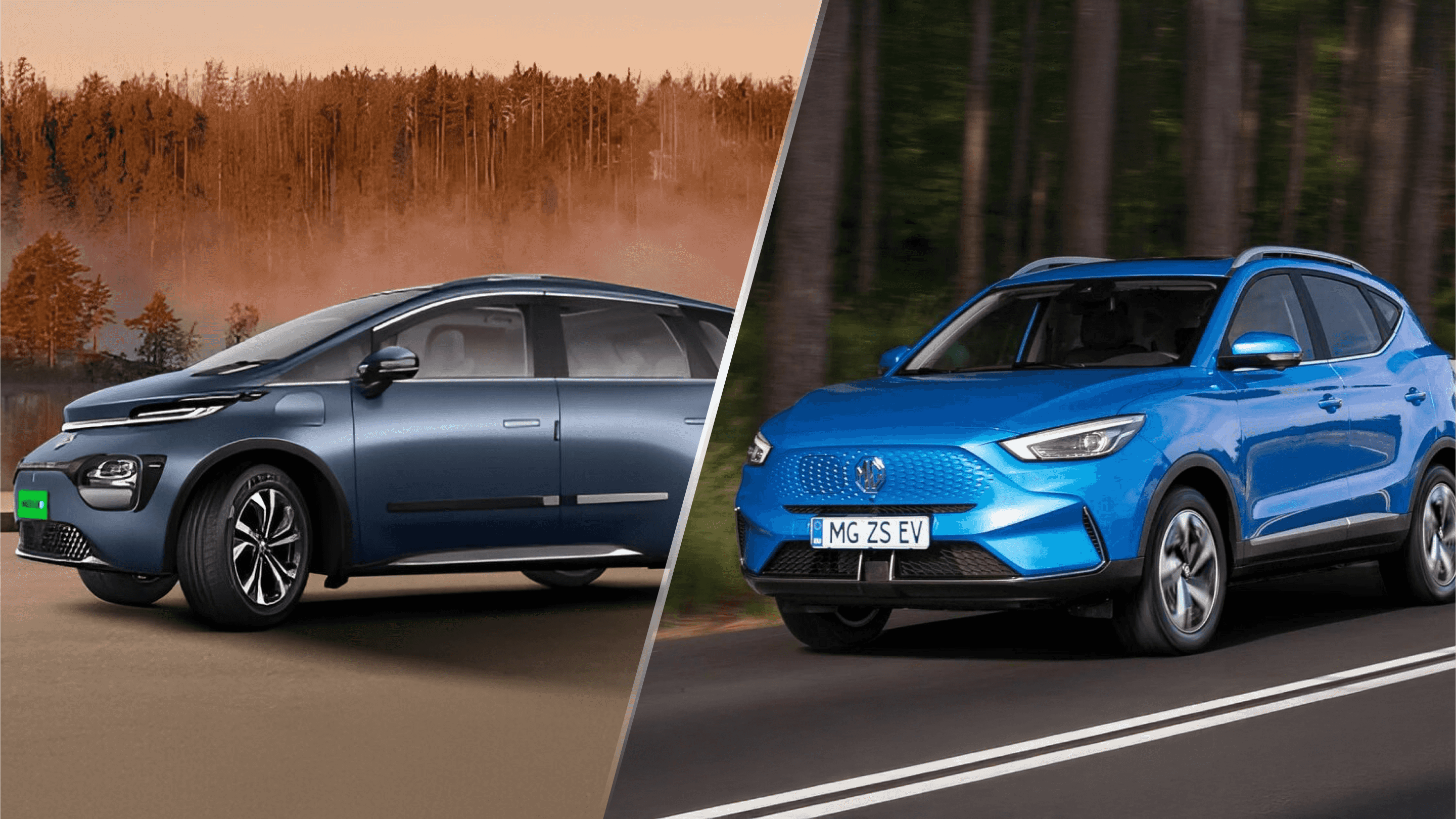 Windsor EV Pro vs mg ZS EV