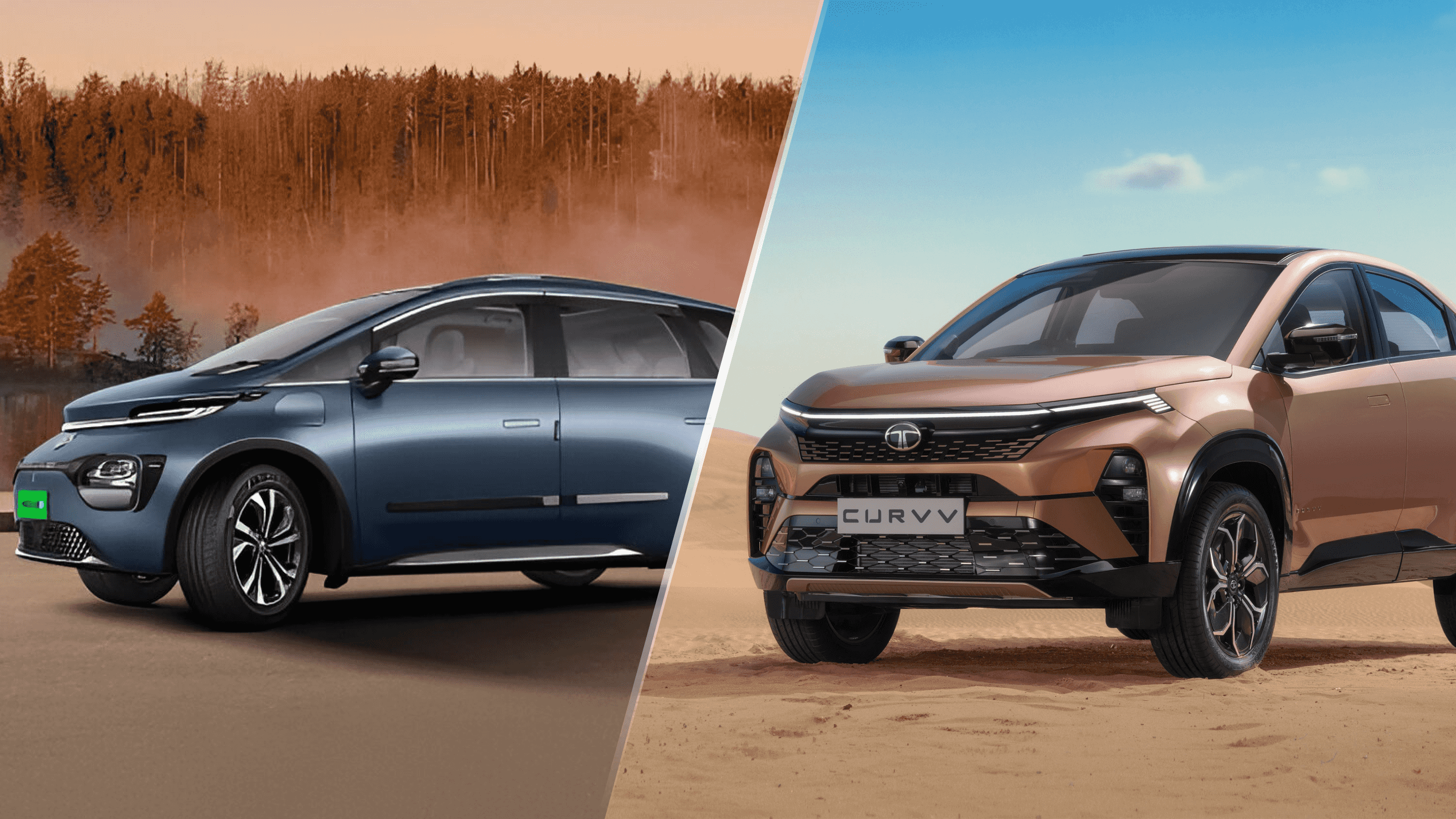 Windsor EV Pro vs Tata Curvv EV