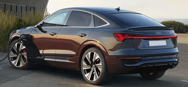 Audi-Q8-Sportback-e-tron-Rear Left View