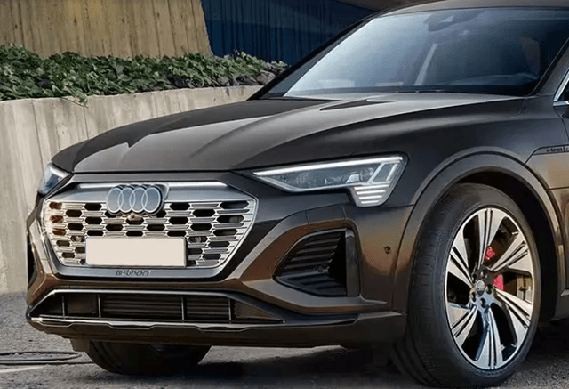 Audi-Q8-Sportback-e-tron-Grille