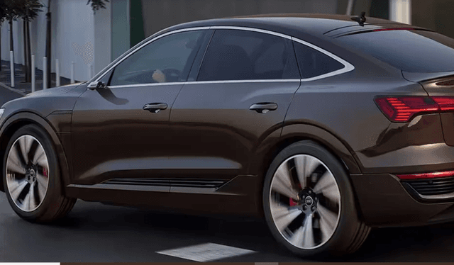 Audi-Q8-Sportback-e-tron-Door Handle