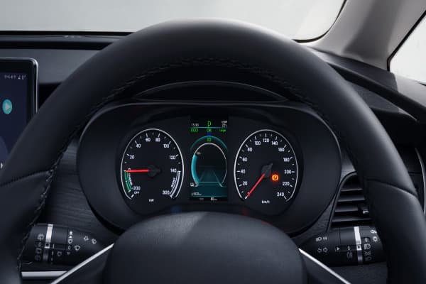 Interior eMAX 7- instrument cluster.jpg